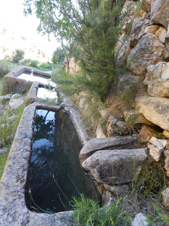 Tartareu Casa Canut מראה חיצוני תמונה